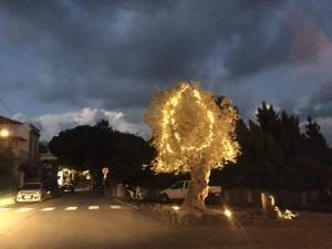 santamarina7