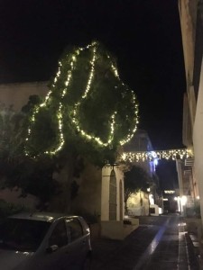 santamarina8